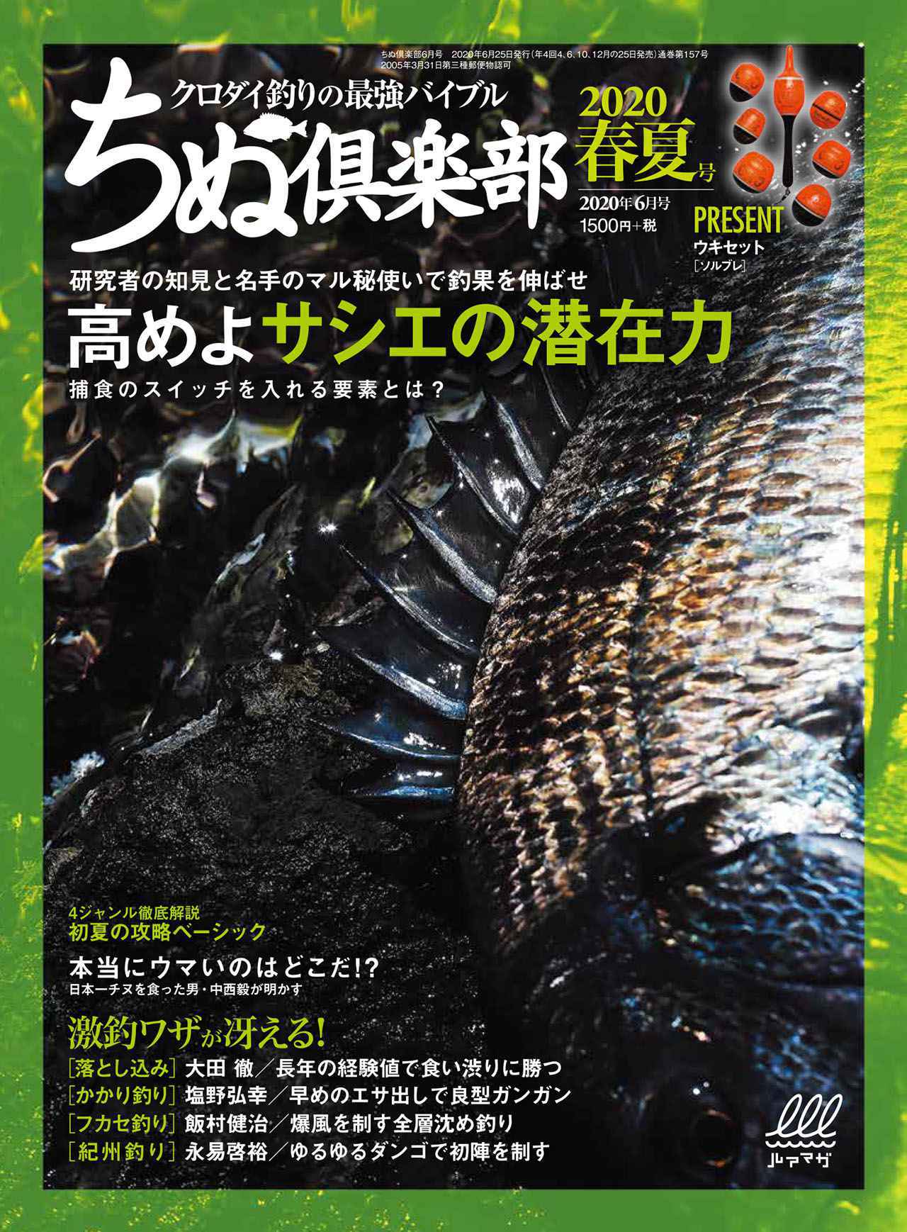 ダイワ(DAIWA) 落とし込み・イカダリール チヌマスター 90 2019年モデル