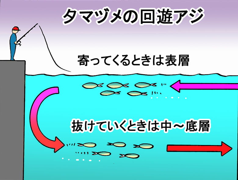 ベイトフィッシュパターンはもう古い 4つのアジング新常識 ルアマガ