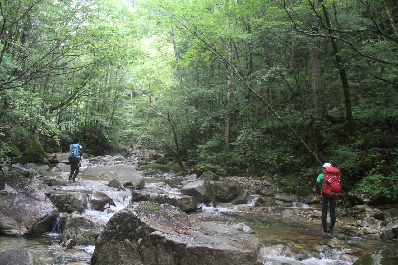 山釣りの心得 を源流釣り師の実体験から学ぶ シャリバテ ってなんだ ルアマガ