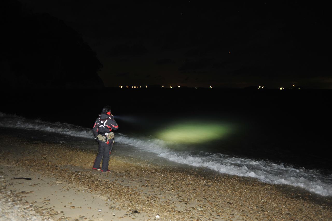 メバルの夜釣り ライトの光はokかngか 瀬戸内と伊豆で変わるご当地ライトパターン ルアマガプラス