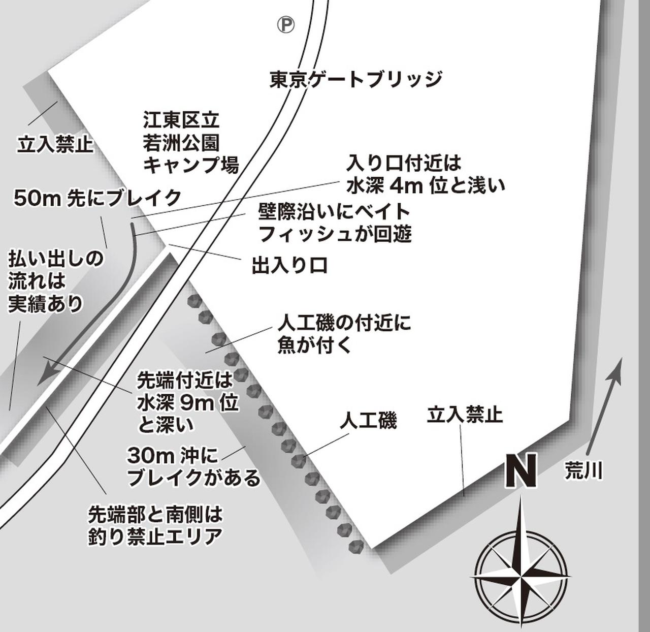 ビギナーでも楽しめるシーバスゲーム 東京湾若洲海浜公園 相良記央が教える 日本全国陸っぱりポイントガイド ルアマガ