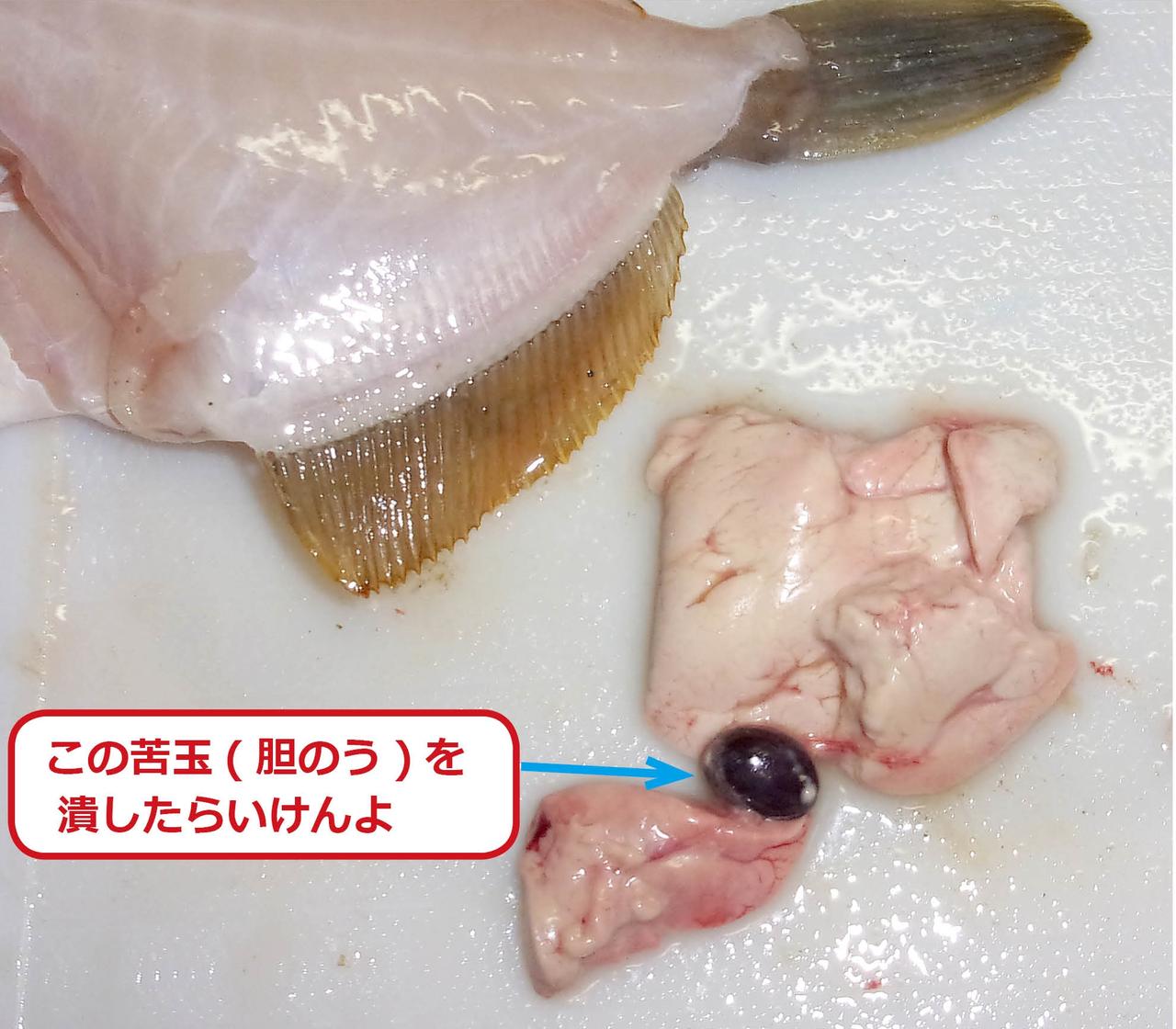 冬の人気釣り物 肝パンパンのカワハギを味わいつくす さばき方解説付き 釣り師のレシピ ルアマガ