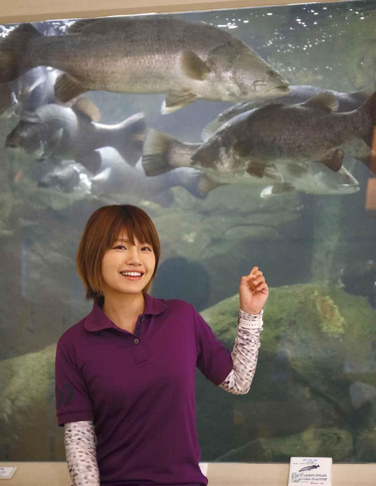 幻の魚アカメが見れる マニアも唸る激アツ水族館 あきついお を知っているか 高知県四万十川 ルアマガ