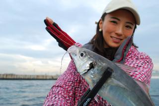 初心者でも大型アジがガンガン釣れる 東京湾で流行しつつある バチコンアジング ってなんだ ルアマガプラス