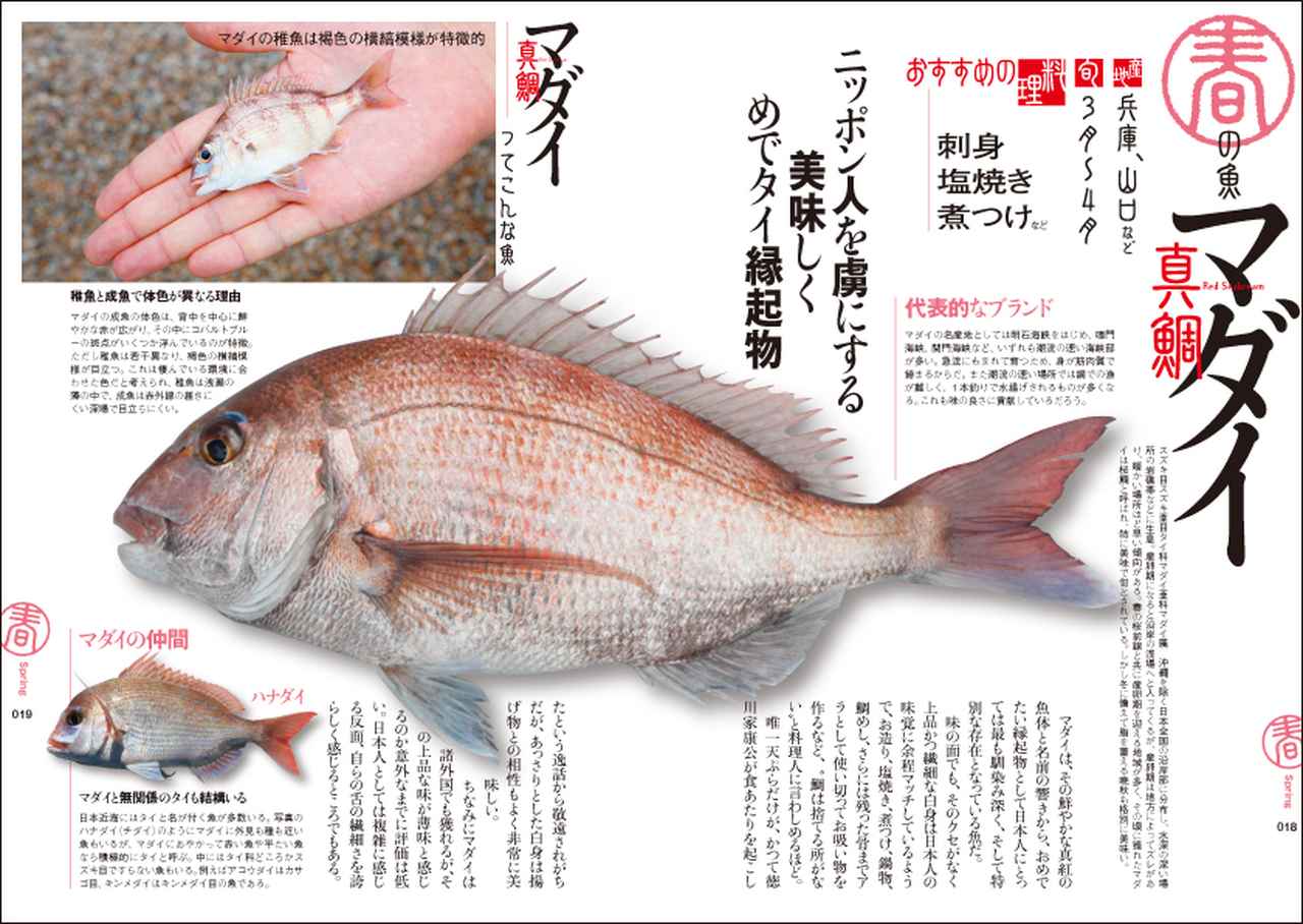 新装版 レシピ書籍 前略 奥様 釣った魚は自分で料理します 発売 ルアマガ