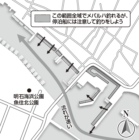 メバリングシーズン開幕 ボウズ逃れの良スポット 兵庫県明石市二見漁港 海釣り陸っぱりポイントガイド By 森川将輝 ルアマガ