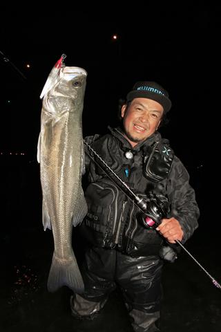 人気No.1シーバスミノーがさらなるパワーアップを遂げた
