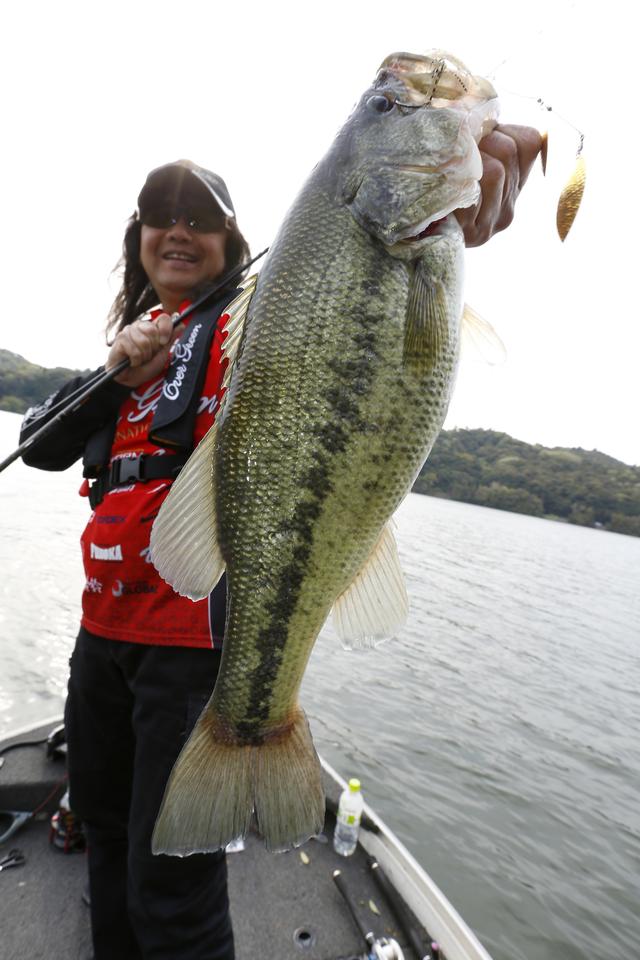 Zpi伊藤雄大さんに聞いてみた 春のカバー撃ち3大リグとは 寒の戻りバスにも即効 ルアマガ