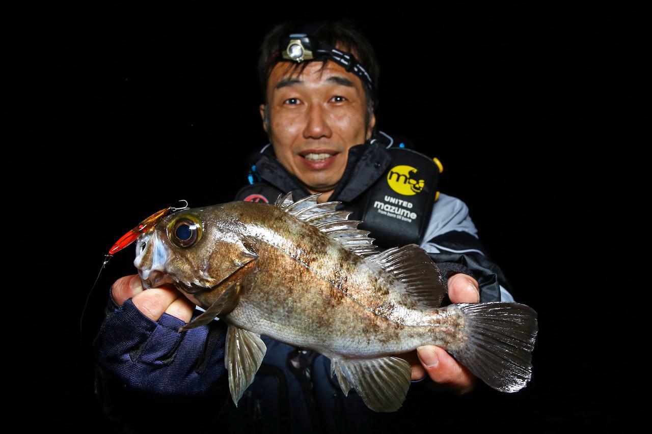 釣り上げろ ランカーメバル 福岡県のメバル釣りの達人がプロデュースする新基軸プラグ ユーリ に注目せよ ルアマガ