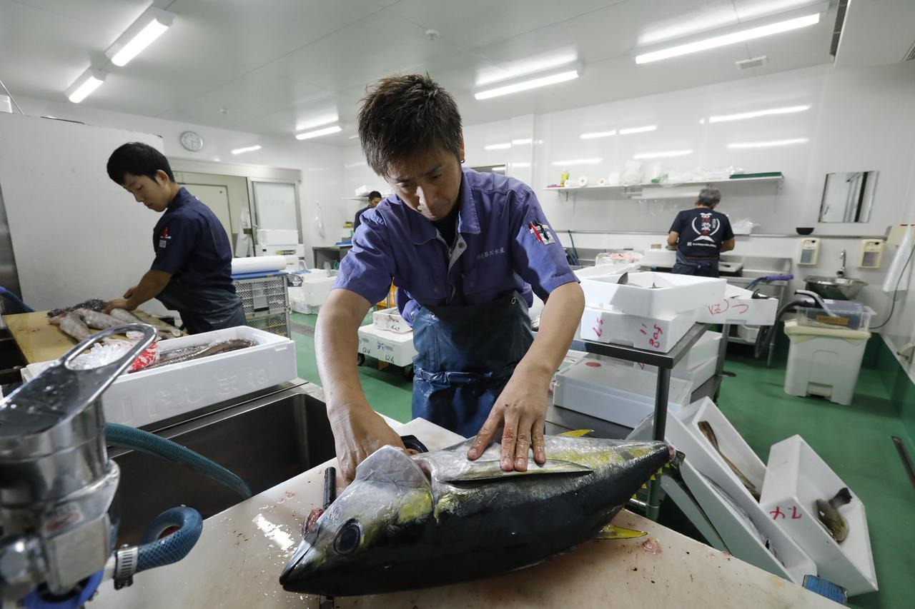 寝かせ と 熟成魚 の違いを理解しよう 究極の血抜き 津本式から正しく学ぶ 魚の食 ルアマガ