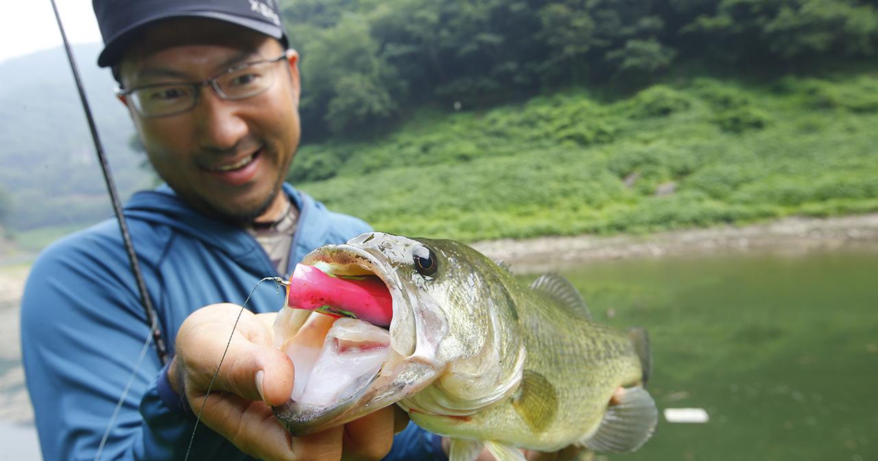 Pr ポイズングロリアス172hラッシュバーン カバー攻略に必携の１本 秦拓馬 山口県リザーバーその１ ジャッカル シマノウェブマガジン更新 ルアマガ