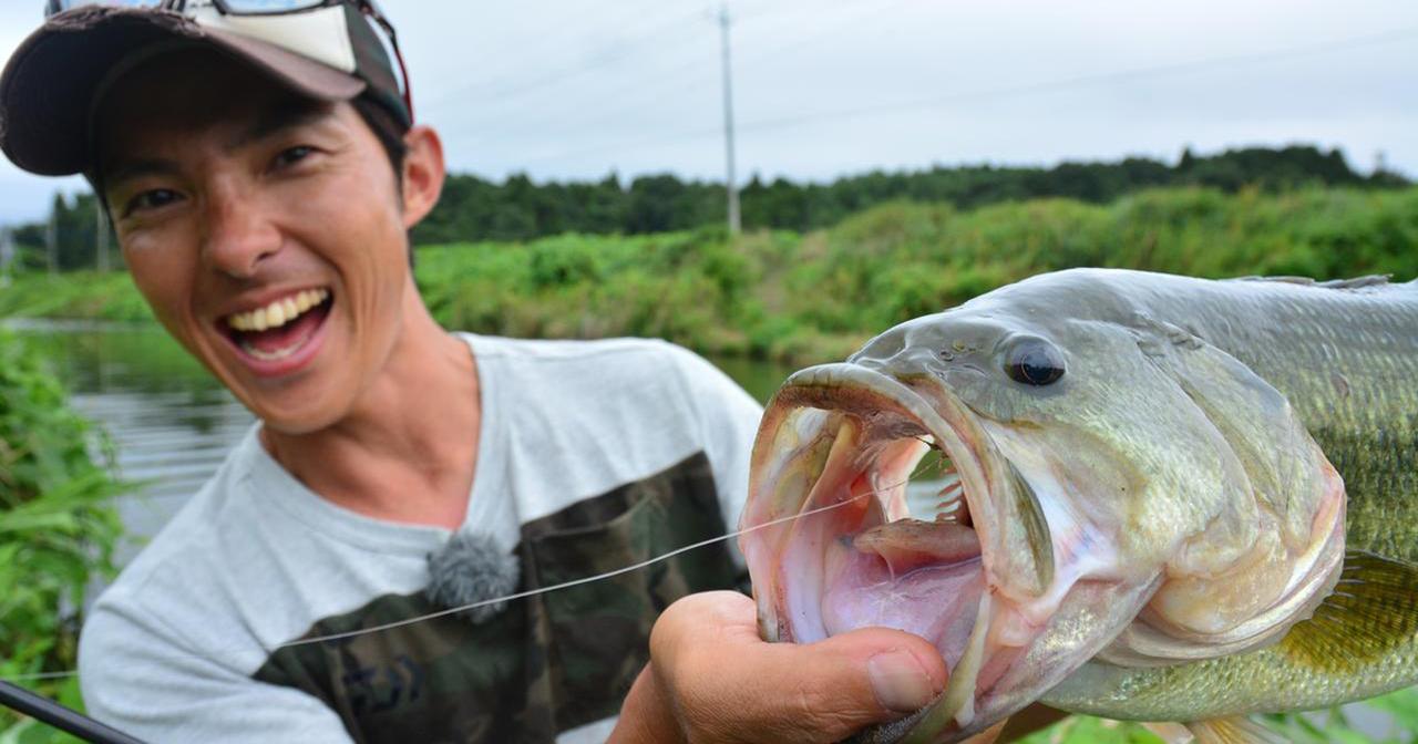 ネコリグは食わせであり サーチベイト 川村光大郎的ネコリグ論 ルアマガ