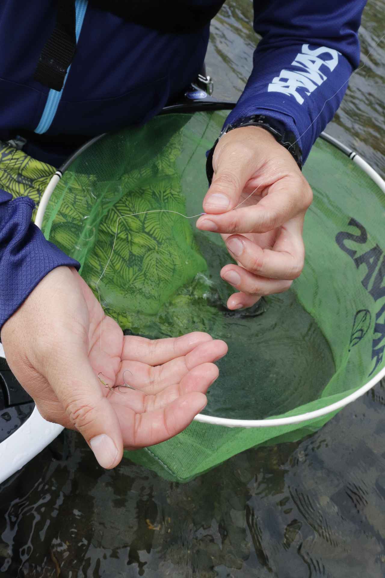 アユってカンタンだ！バス釣りの達人が教える、友釣りライトスタイルAtoZ【実釣編！】│ルアマガプラス