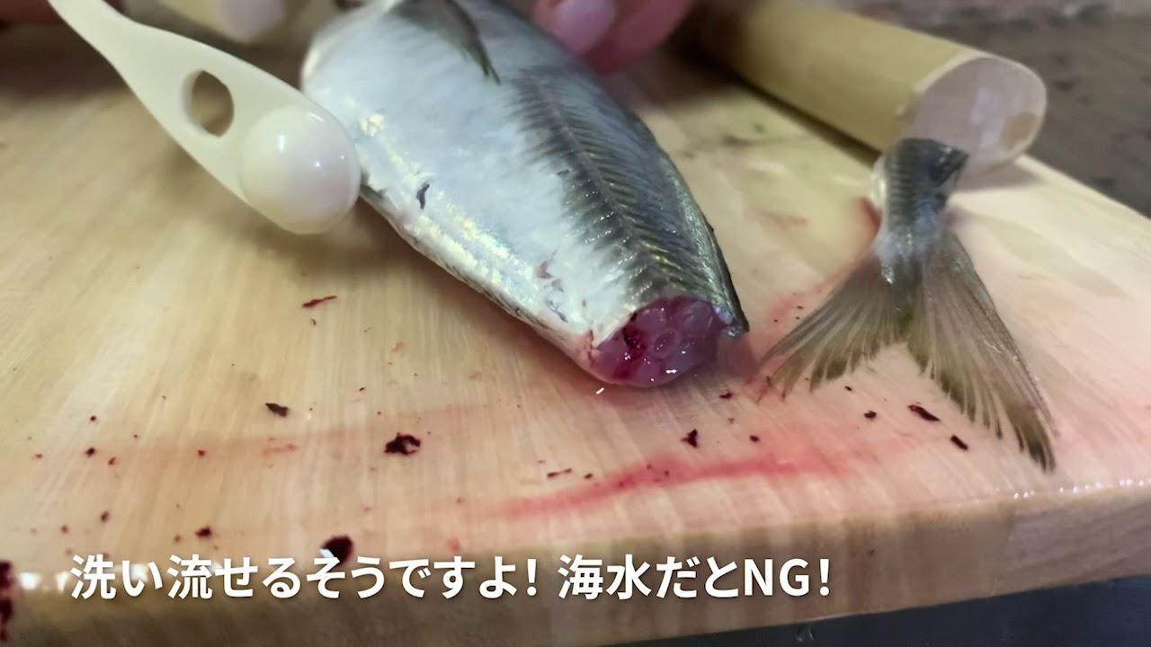 初心者でもできる津本式講座 劇的に魚が美味しくなる血抜き 仕立て方 道具なんていらない基本のキ ルアマガ