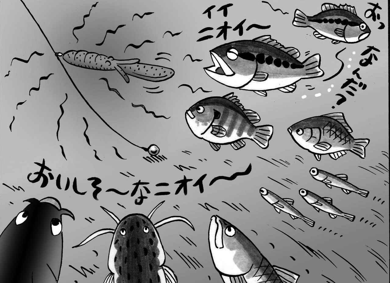 魚にモテる集魚剤 フォーミュラソムリエ で釣果up 激臭注意 デキる釣り人のニオイケア ルアマガ