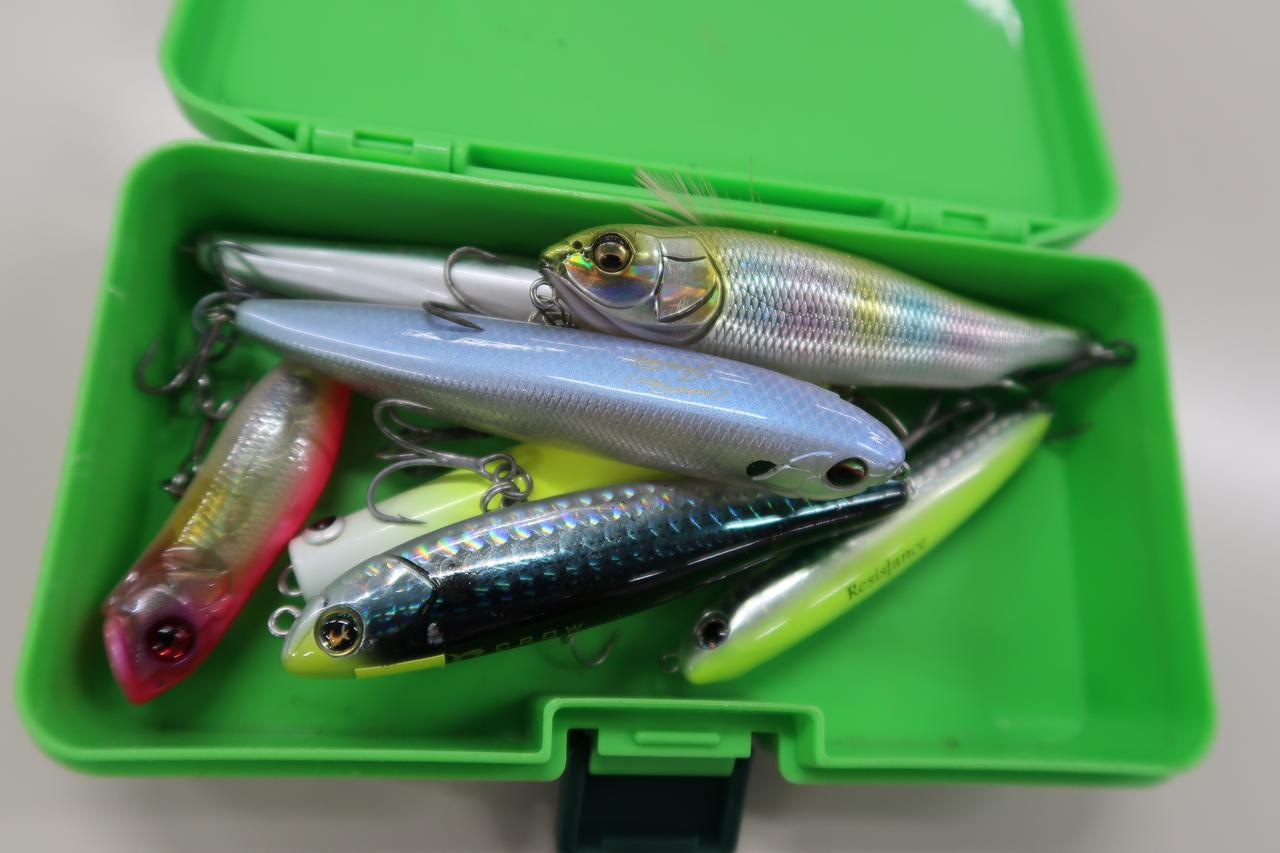 19ストラディック最速実釣レビュー ルアマガプラス
