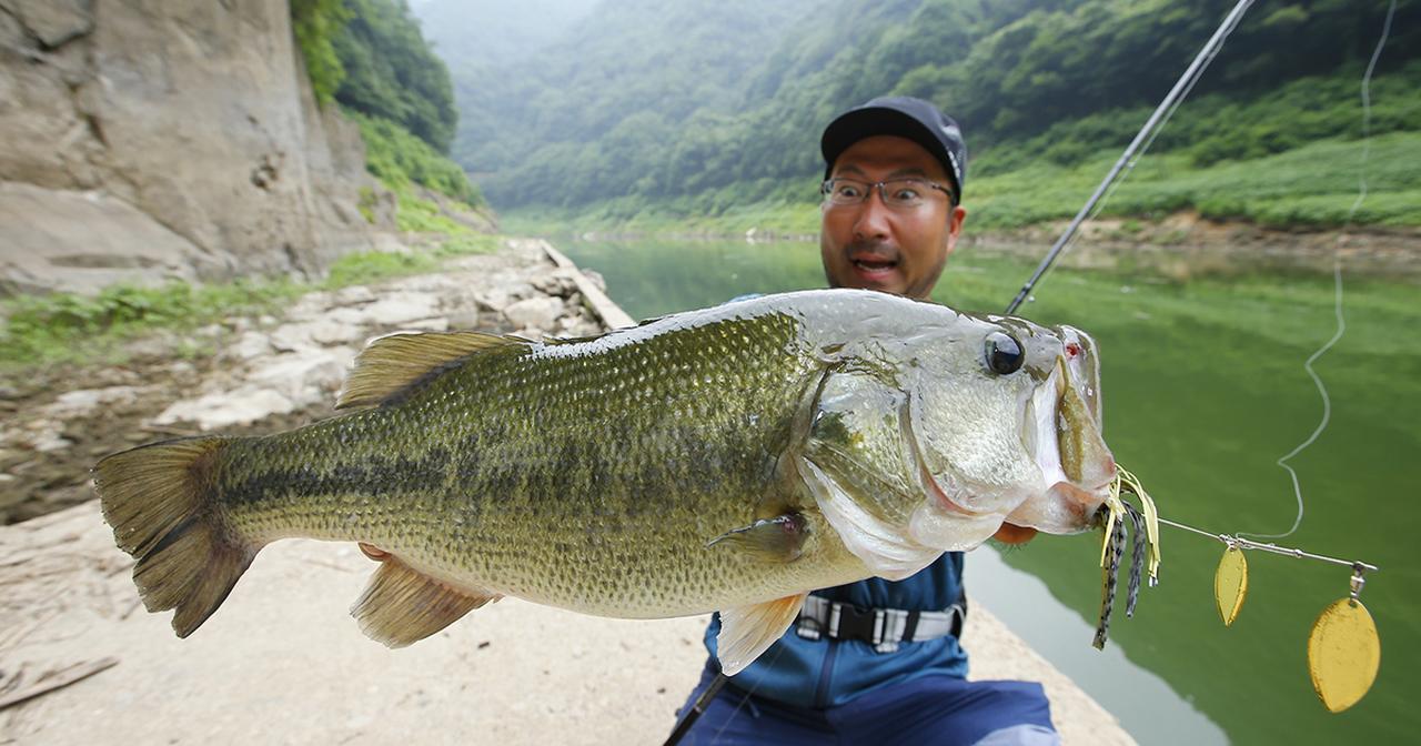 Pr ポイズンアルティマ174mh G １ランク上の巻きバーサタイル 秦拓馬 山口県リザーバーその２ ジャッカル シマノウェブマガジン更新 ルアマガ