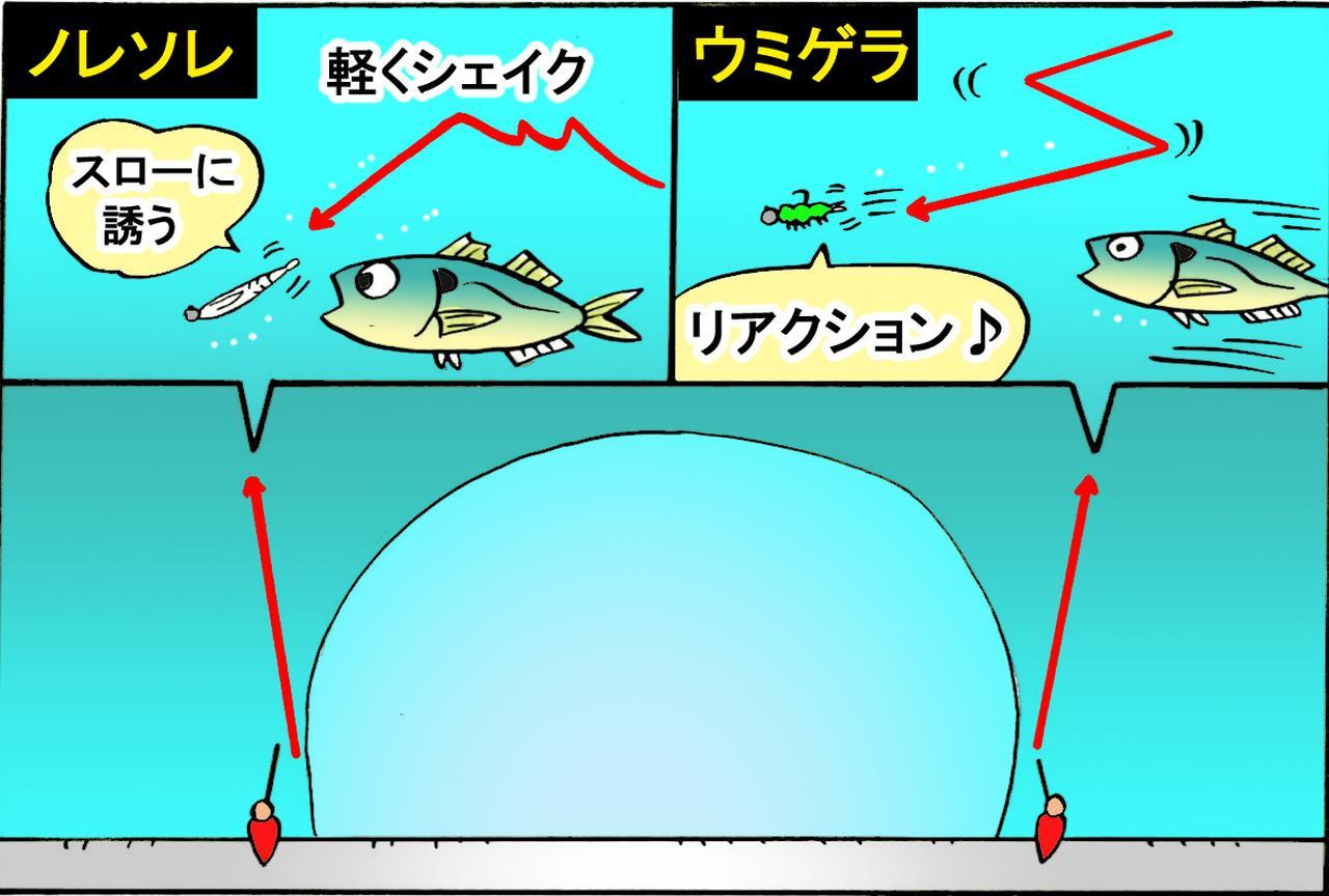 ナチュラル＆波動強！ 夏は明暗の際を２つのワームで攻略せよ！2代目アジング王・藤原真一郎の釣果アップ術│ルアマガプラス