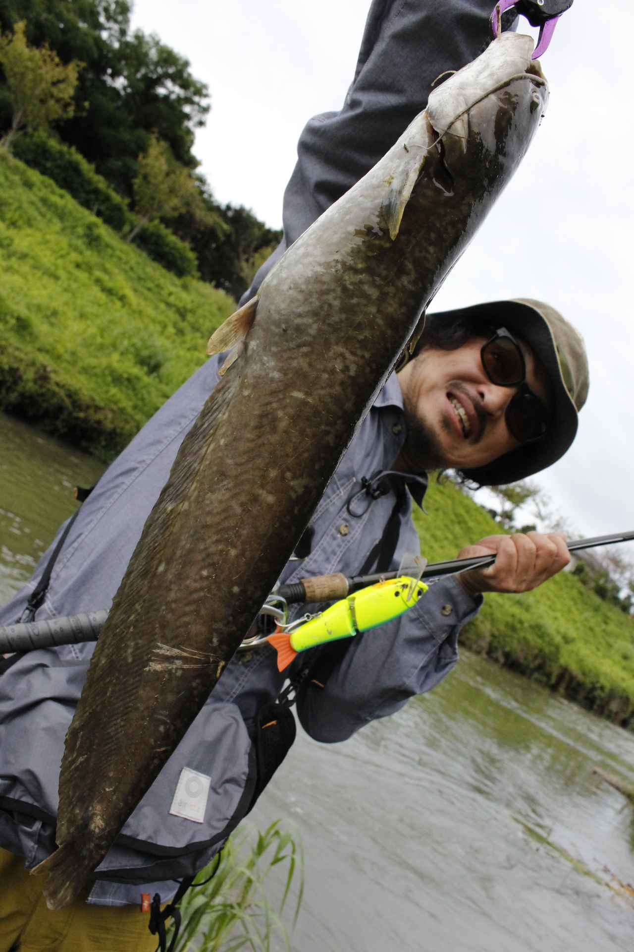 ナマズ釣り究極本 ルアーマガジン ナマズ王 販売中 ナマズ初心者から超絶フリークまで完全対応 ルアマガ