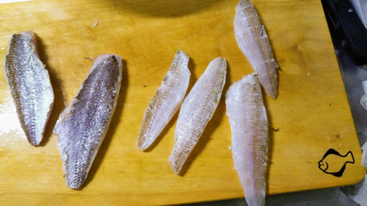キスの刺身は 炙 あぶ り で食すべし 淡泊な魚の旨味を引き出すコツ 釣り師のレシピ ルアマガ