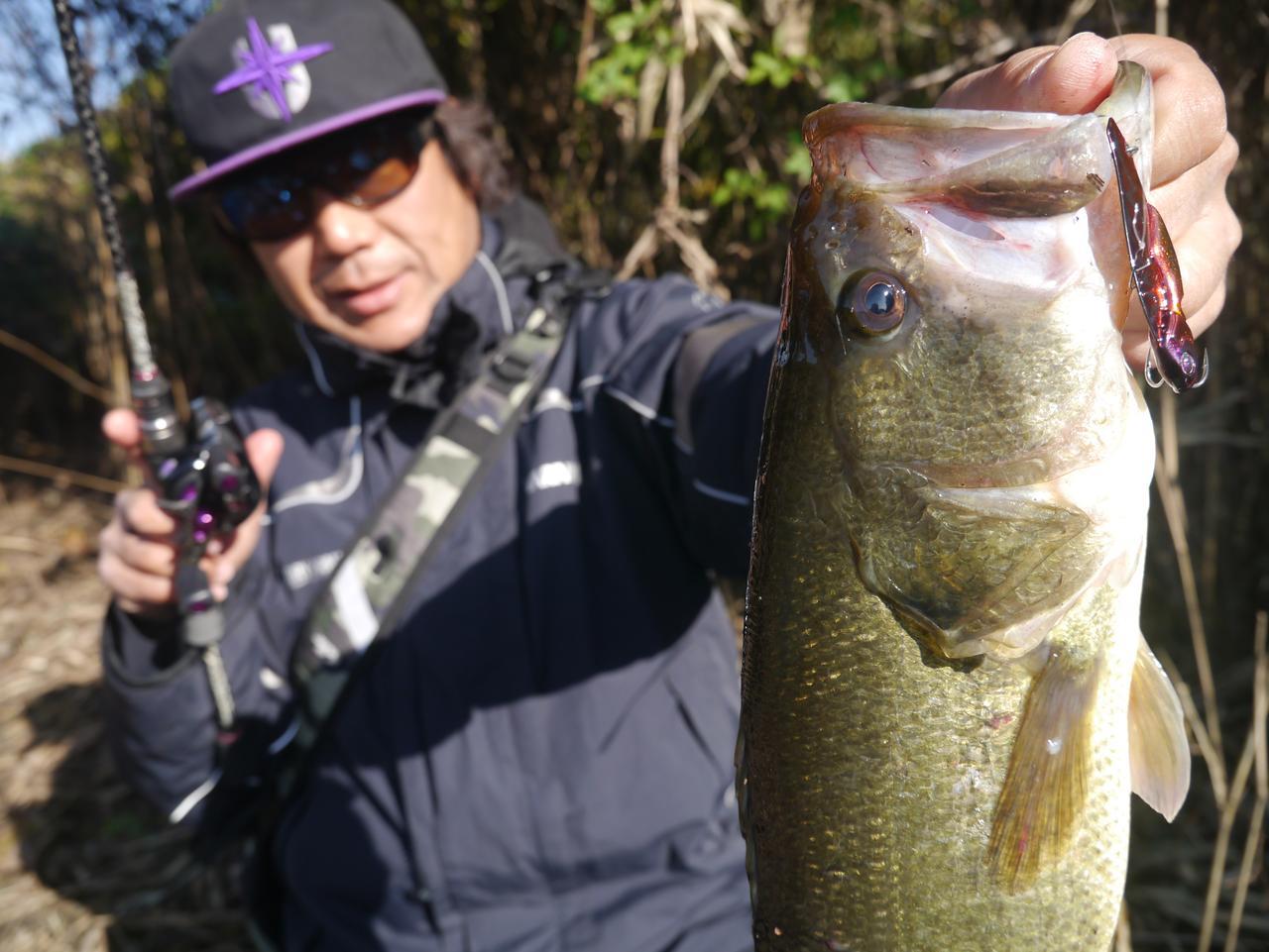 超速立ち上がりのあの鉄板バイブが どうも管理釣り場でキテるらしいぞ フルメタルソニック フラッシュユニオン ルアマガ