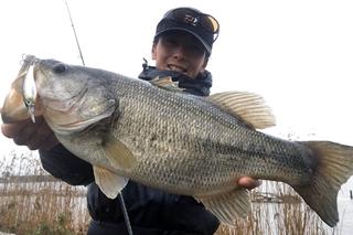 DAIWA（ダイワ）2020新作バスロッド】特化と汎用性の両立