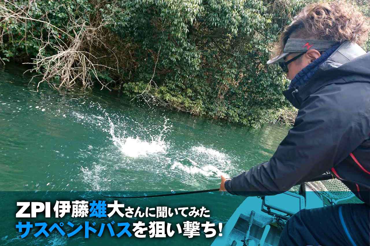 Zpi伊藤雄大さんに聞いてみた サスペンドバスを狙い撃ち カバーに浮くビッグを獲る ルアマガ