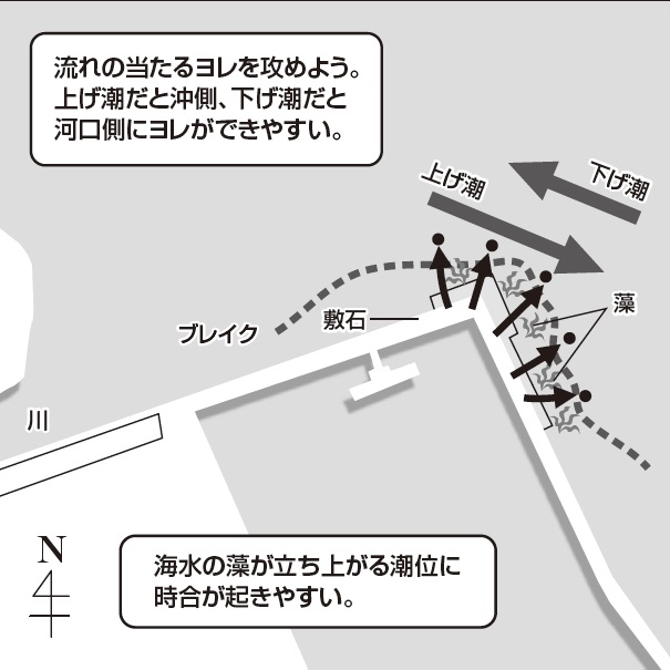 産卵シーズンのメバリング 愛媛県井口港 辻本ナツ雄が教える 日本全国陸っぱりポイントガイド ルアマガ