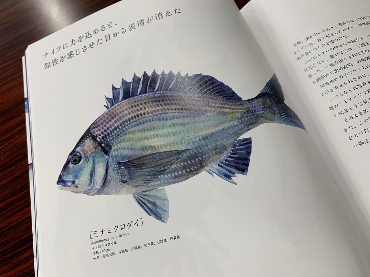 魚好きには堪らない素敵な図鑑が発刊 The Fish 魚と出会う図鑑 長嶋祐成 ルアマガ