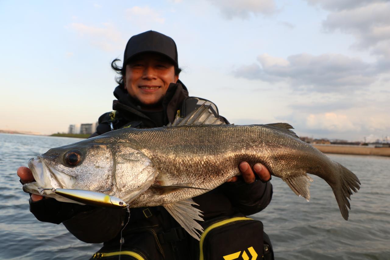 厳選 達人たちの ココイチ ルアー シーバス編 小沼正弥 Daiwa ルアマガ