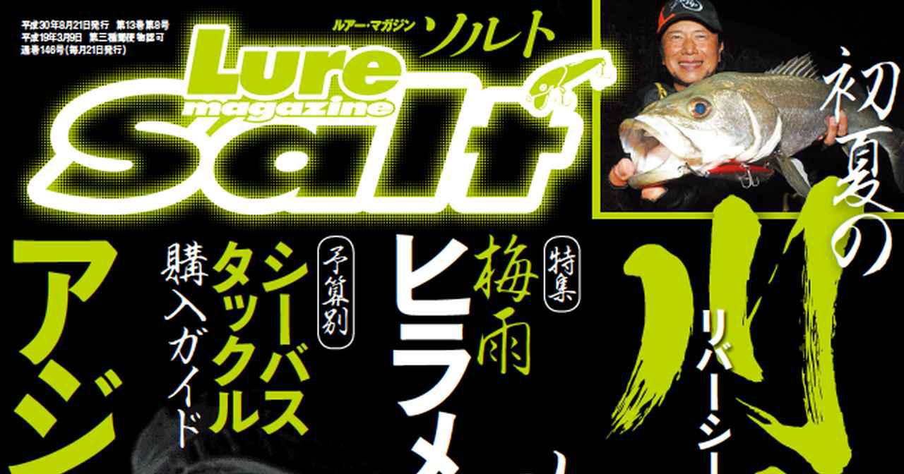 ルアーマガジン ソルト8月号 アジング王バトル第3戦 初夏の川鱸 リバーシーバス 攻略 ヒラメ絶好釣 ルアマガ