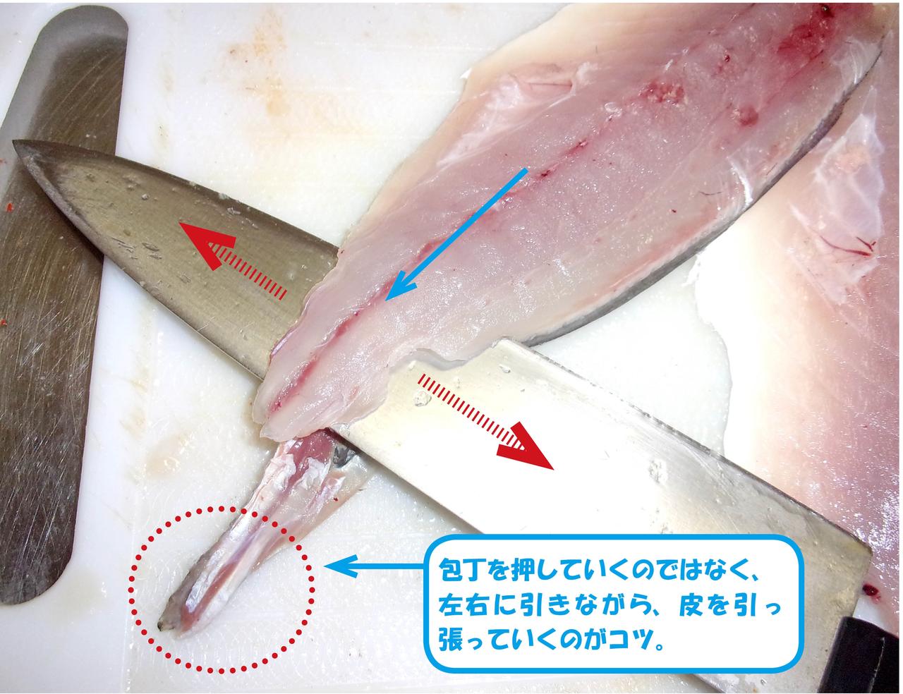 冬アジは型よし 脂よし 値段よし りゅうきゅう アジ納豆 さばき方解説付き 釣り師のレシピ ルアマガ