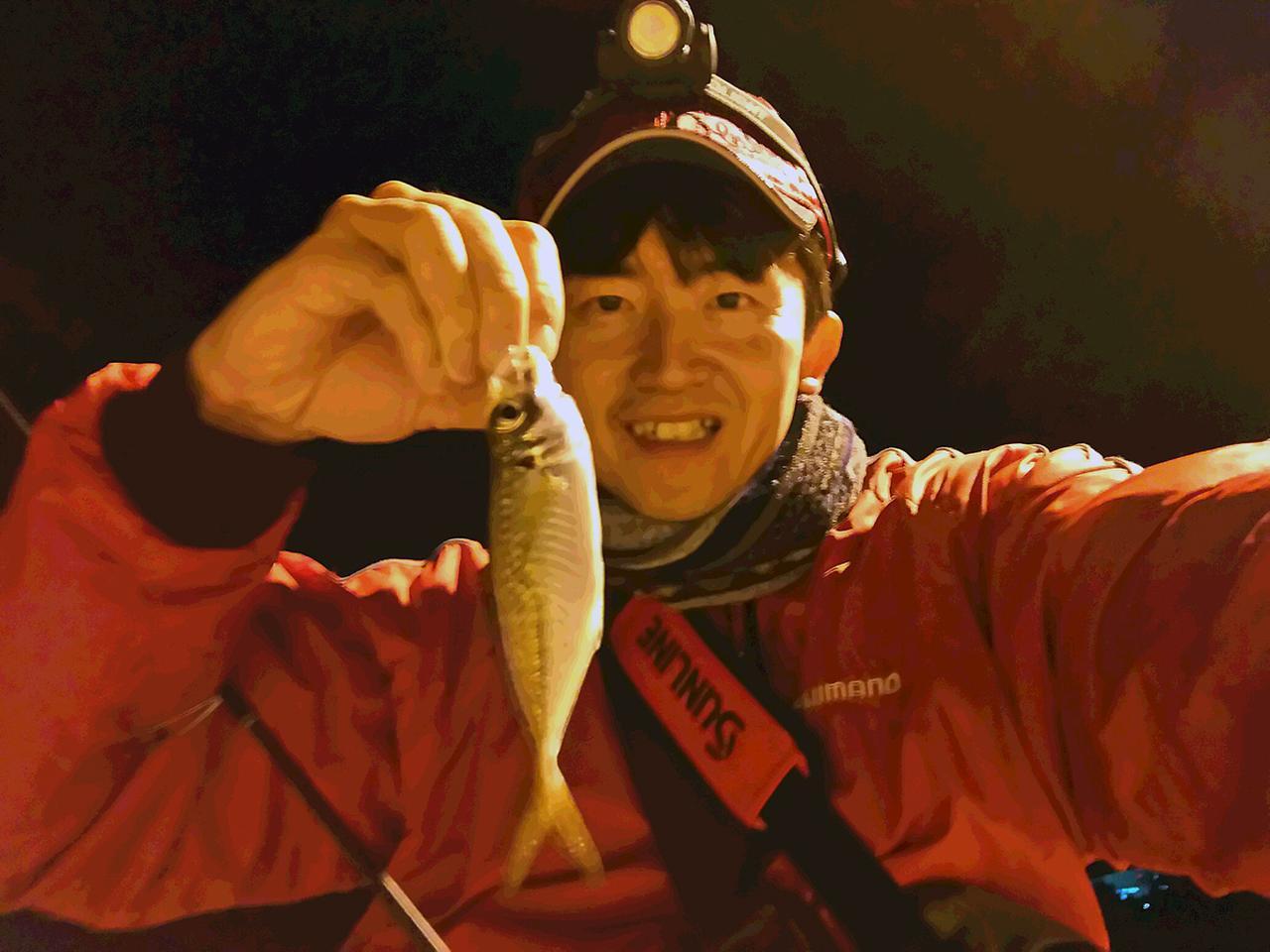 アジングは秋から冬が最盛期 おすすめタックル 基本テクニックを公開 釣具のポイントスタッフレポート ルアマガ