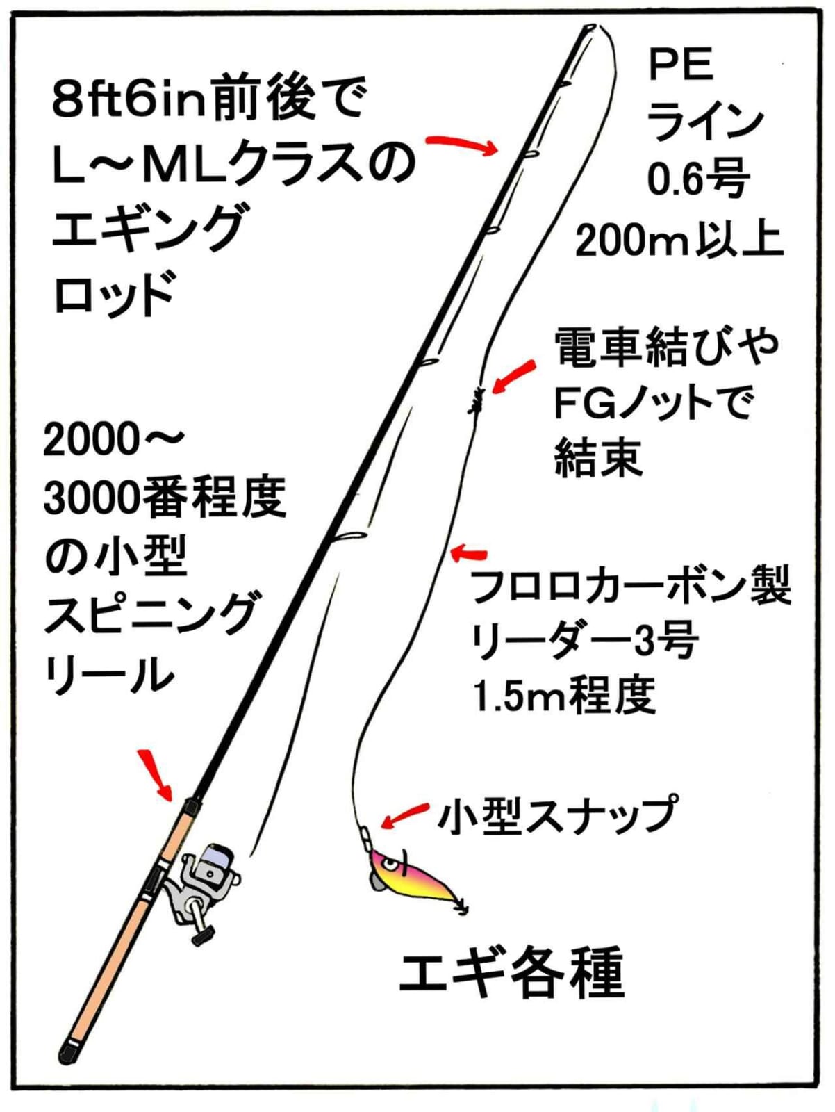 ルアーでイカを釣りたい初心者のための エギング 入門 基礎知識 タックル編 ルアマガソルト流 の基本 ルアマガ