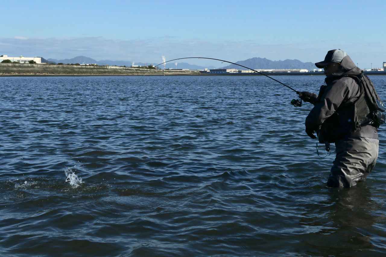激アツチヌのトップウォーターゲーム 食性に訴えかける 動 の釣り 表層編 ルアマガ