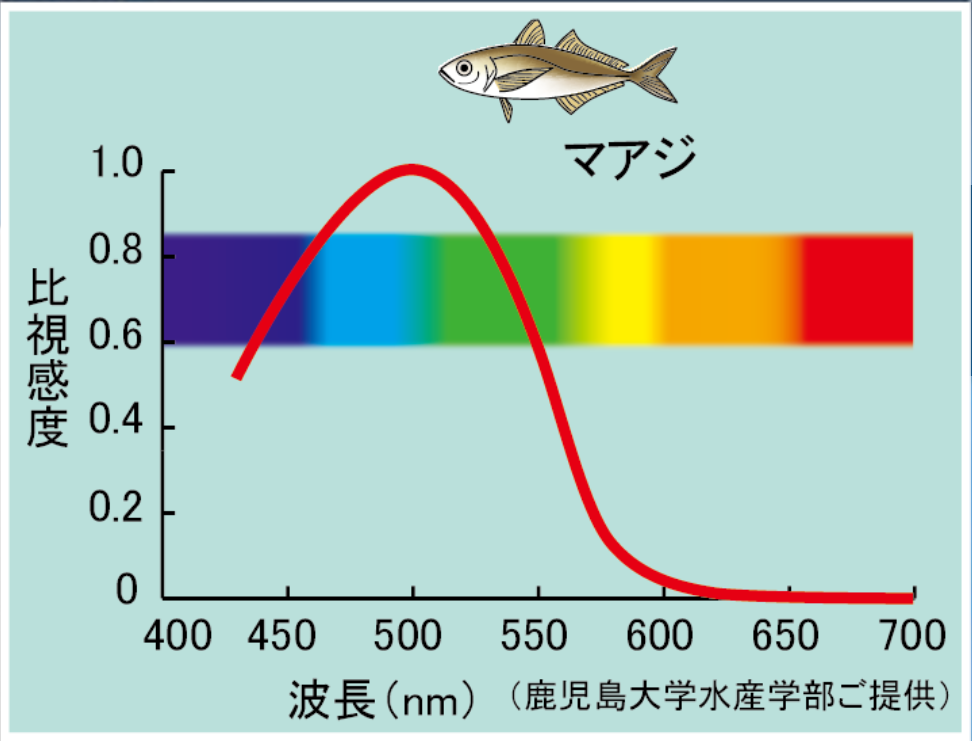 アジングのポイントがないなら作れ！アジングライト ハピソン×サーティフォーのコラボ集魚灯が凄い！【高輝度LED投光型集魚灯】│ルアマガプラス