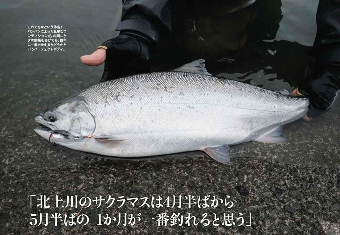 ルアーマガジン リバー 21年2月号 発売 特集は サクラマス と ベイトタックル の2本立て ルアマガプラス