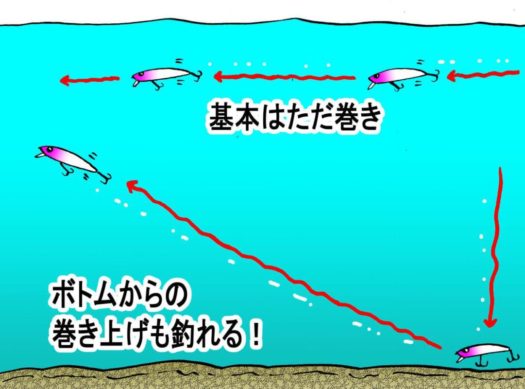 脂の乗ったサワラが一撃 大人気 ピンテール サゴシチューン の使い方 実釣では90cmクラスが ルアマガプラス