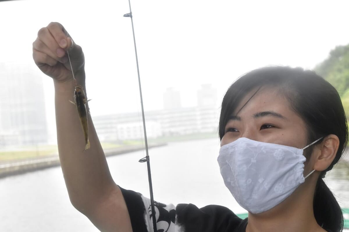 屋形船のハゼ釣りがユルくて最高 釣ったばかしの江戸前ハゼが即天ぷらで食べられるのだ ルアマガ