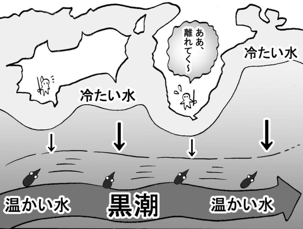 12月でもエギングで釣りたい 冬のアオリイカ事情を池内修次が大解説 ポイント選びのコツやおすすめエギも ルアマガ