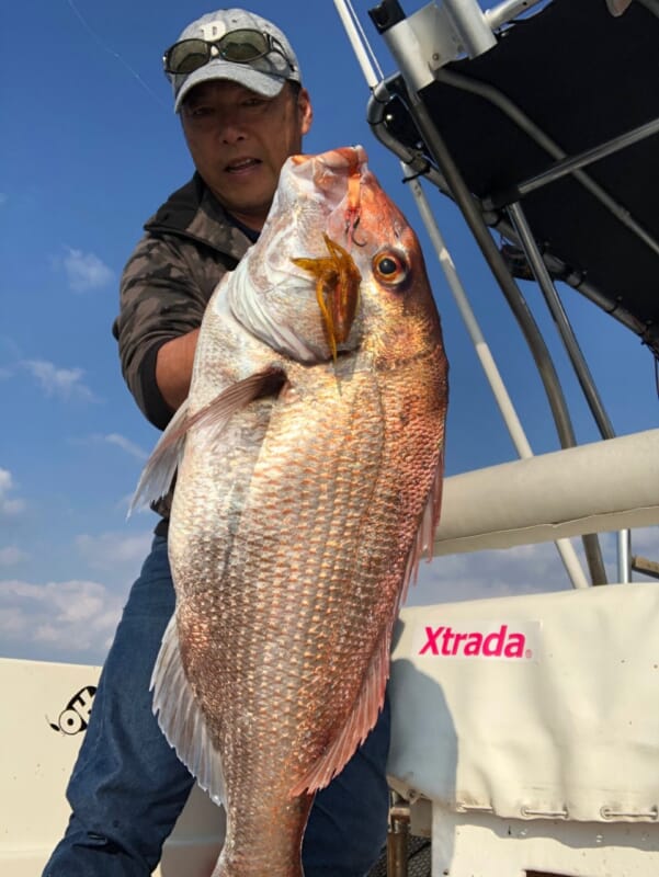 釣った魚が料亭の味に！ だれでも簡単に神経締めが実践できる『神経絞めミディアム（ルミカ）』│ルアマガプラス