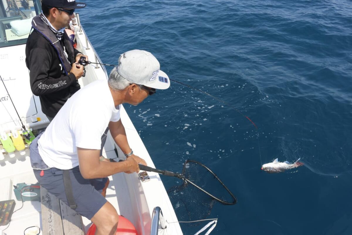 全部わかるタイラバ入門 釣り方やタックル ロッド リールの選び方まですべてお教えいたします ルアマガ