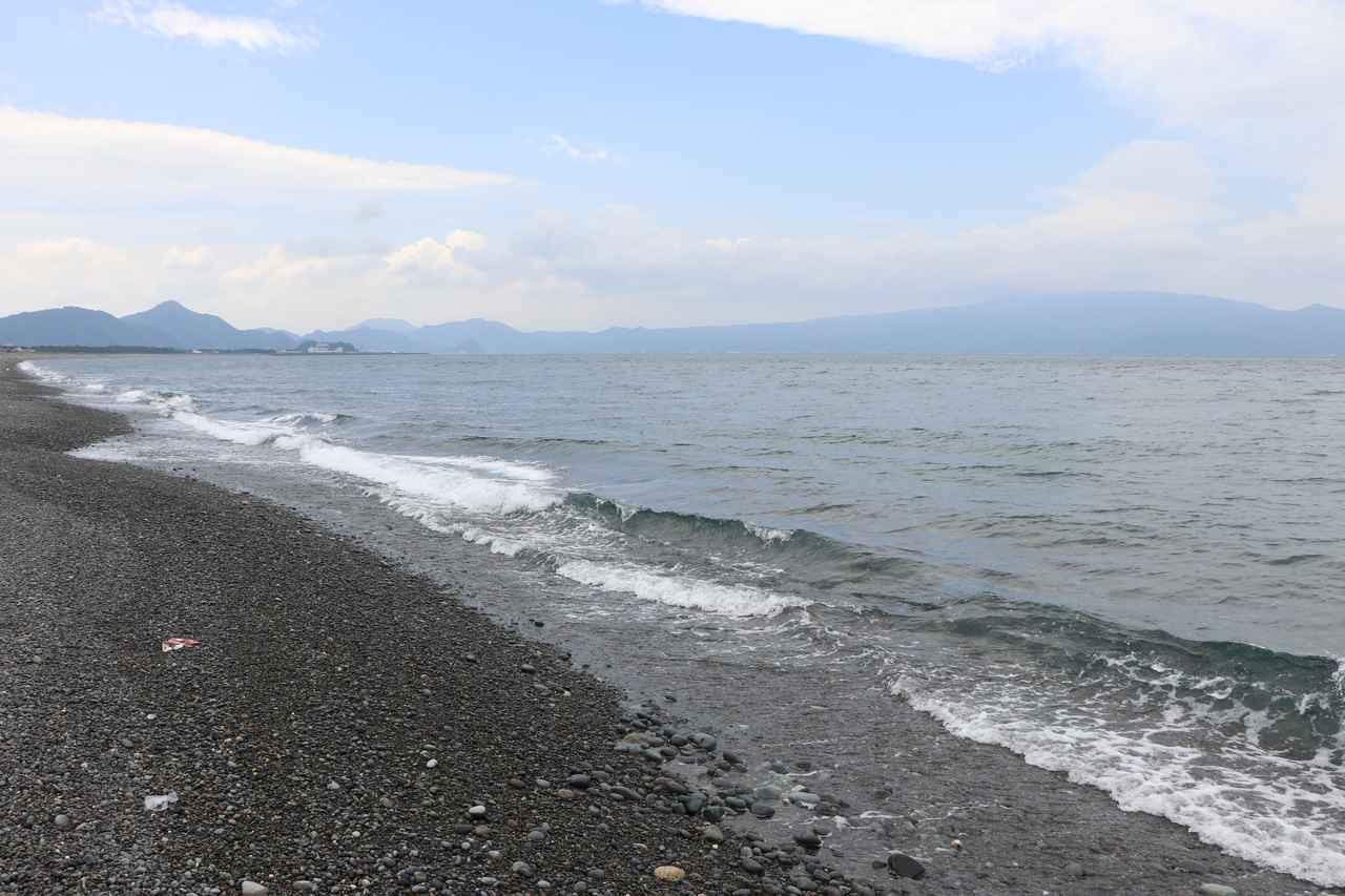 全部わかるヒラメ釣り入門 タックル選定 ルアーでの釣り方 時期ごとの違いまで ルアマガ