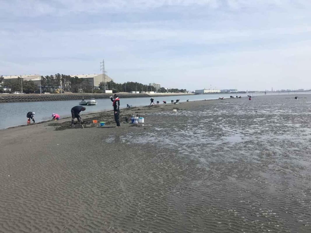 砂浜のモグラたたき マテ貝採り が超 熱い マシモpブログ ルアマガ 砂浜のモグラたたき マテ貝採り が超 熱い マシモpブログ ルアマガ