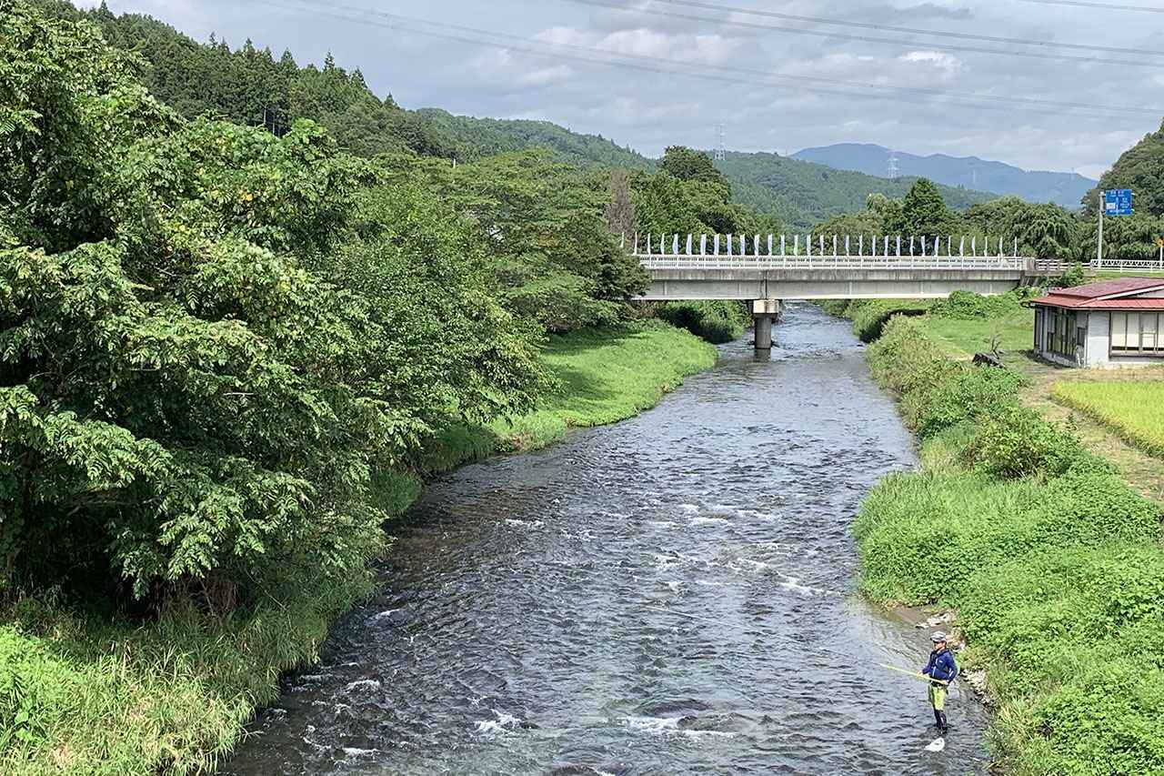 タナゴやクチボソ 小魚釣り の仕掛けやエサ 持っておきたい道具を紹介 近所の池や水路で楽しめます ルアマガ