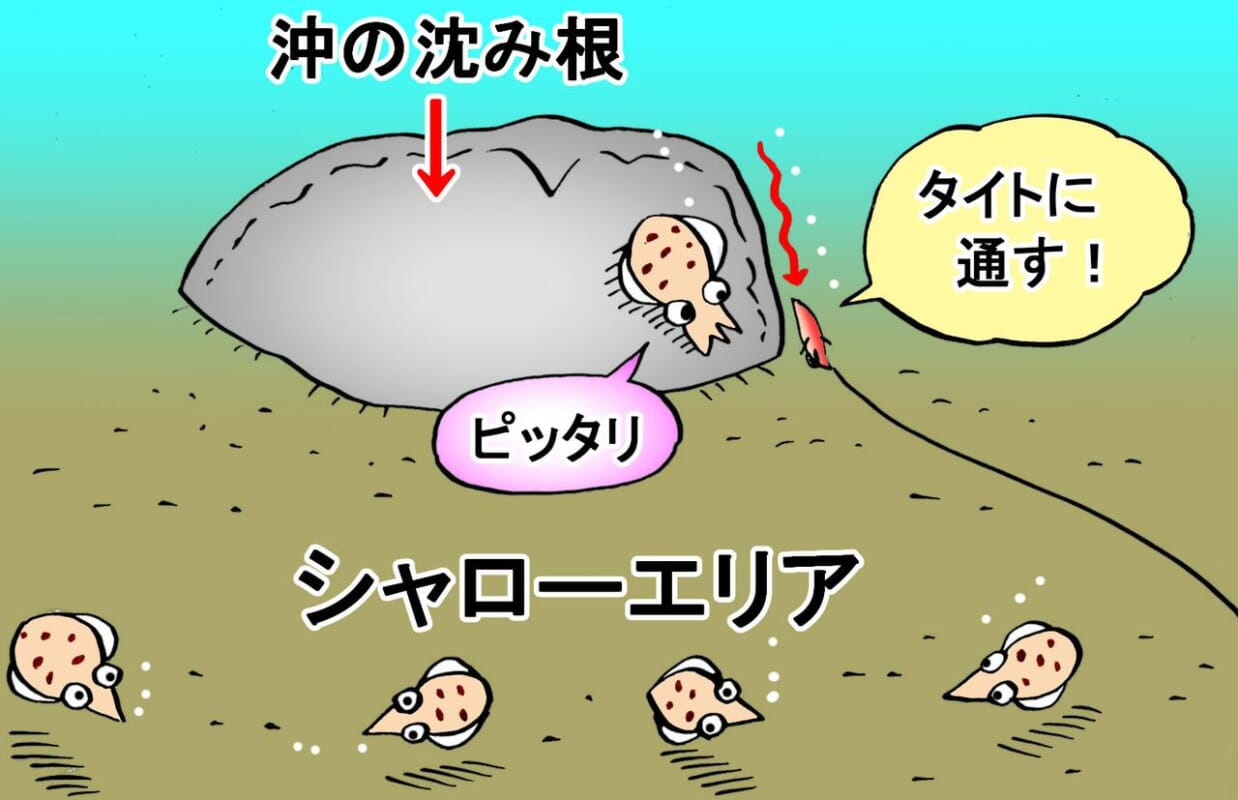 秋イカの特効薬！連続シャクリ上げに最適なロッド・エギストTZ