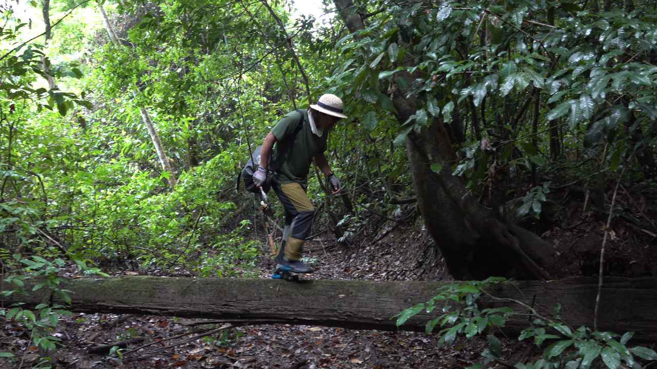 南米のタライロンを狙え その3 跳ねて 暴れて 走っての暴君攻略 World Expedition Fishing Fishman Ken ルアマガ