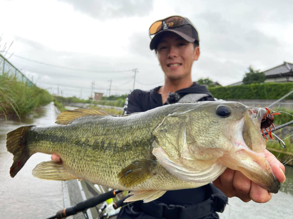 佐々木勝也が教える 霞ヶ浦ビッグバスシーズナル攻略考 ルアマガ