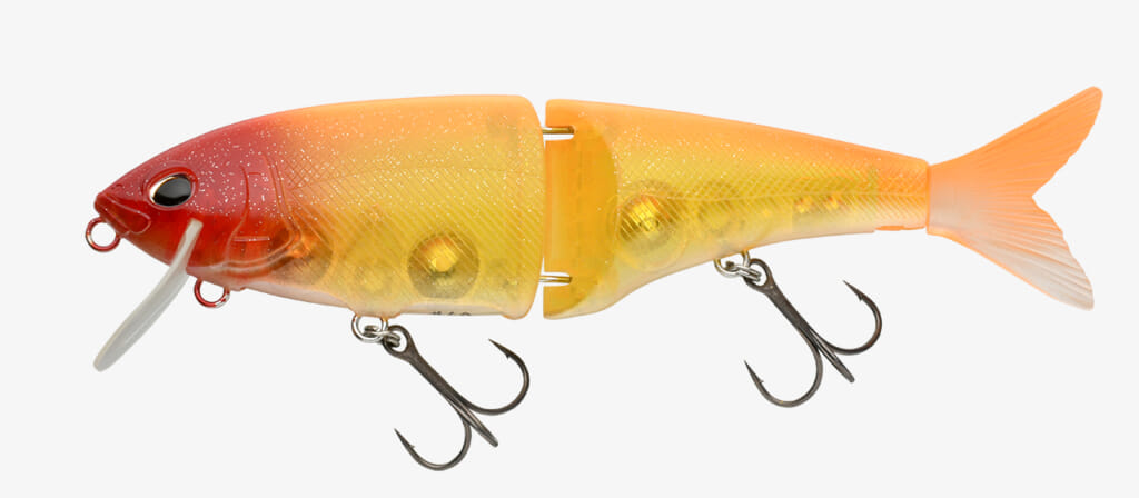 紀の川バスボート54cm】三浦一真「俺の最大魚2020」バス釣り 紀の川バスボート54cm】三浦一真「俺の最大魚2020」バス釣り
