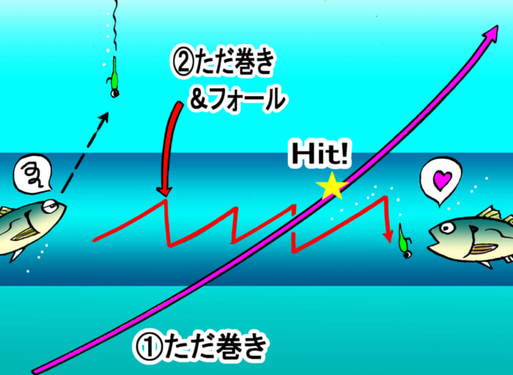 値段も感度も利便性も◎！アジングパックロッドの絶対的存在『クロ